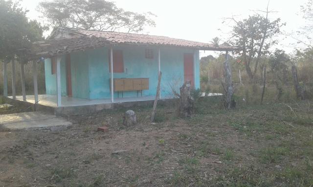 Granja/sitio 3,5 hect - Foto 2