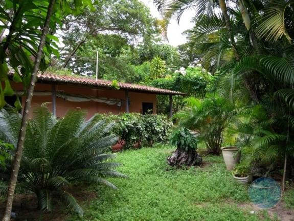 Terreno à venda em Lagoa do bonfim, Nísia floresta cod:10604 - Foto 5