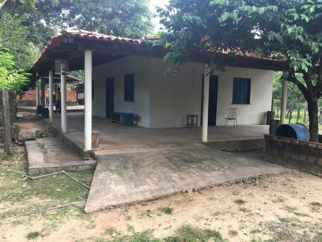 Sítio em Altos/PI, documentação ok - Foto 11