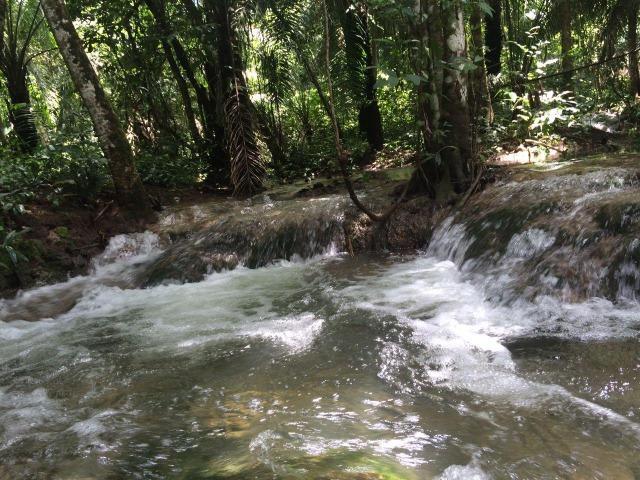 Fazenda em Rosário Oeste-MT 457 hectares boa de argila - Foto 13