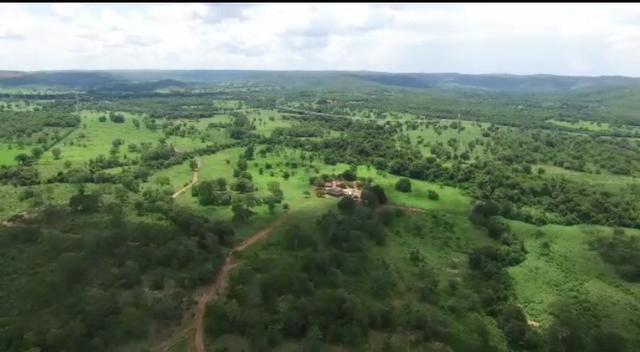 Fazenda de pecuária a venda 12 km porto nacional - Foto 8