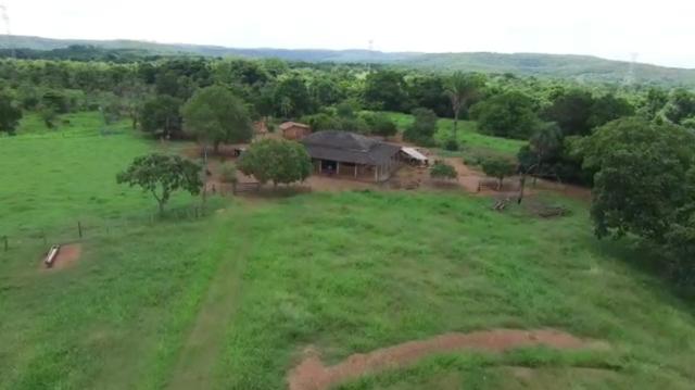 Fazenda de pecuária a venda 12 km porto nacional - Foto 10