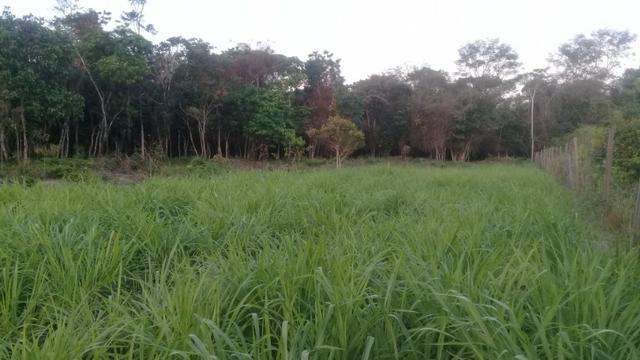 Sitio Sossegado e bom de preço, terreno 5400m² - Foto 3