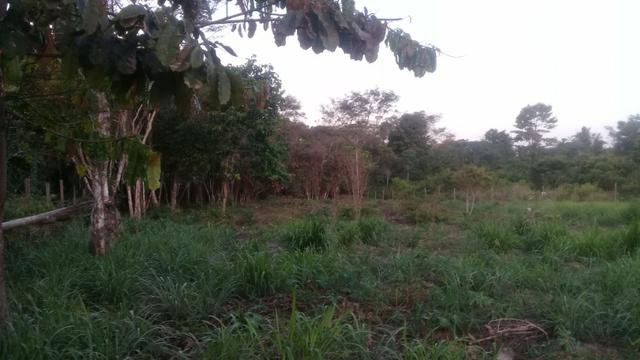 Sitio Sossegado e bom de preço, terreno 5400m² - Foto 8