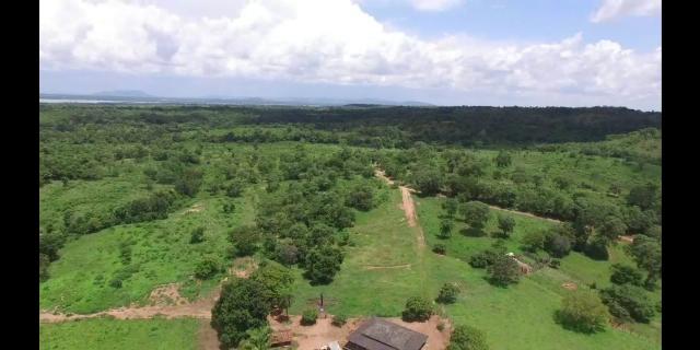 Fazenda de pecuária a venda 12 km porto nacional - Foto 9