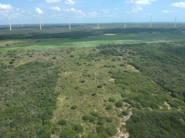 Terreno plano de 15 hectares à 4 km do centro - Foto 9
