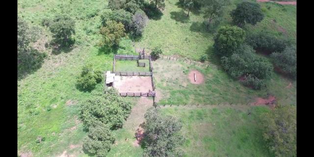 Fazenda de pecuária a venda 12 km porto nacional - Foto 14