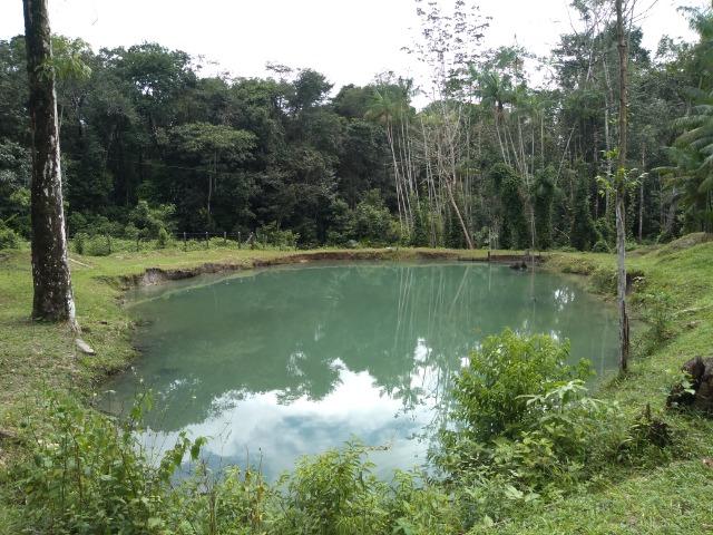 25 hectares a 55 km de Belém lindo Sitio por 200 mil reais Aceito carro na negociação