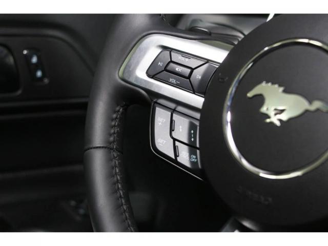Ford Mustang GT 5.0 - Foto 11