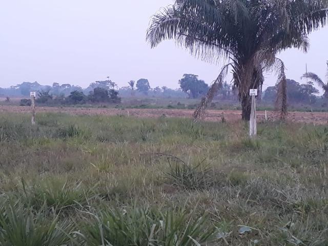 Terreno 13 mil - Foto 7
