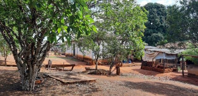 Fazenda a venda em bela vista de goias - Foto 13