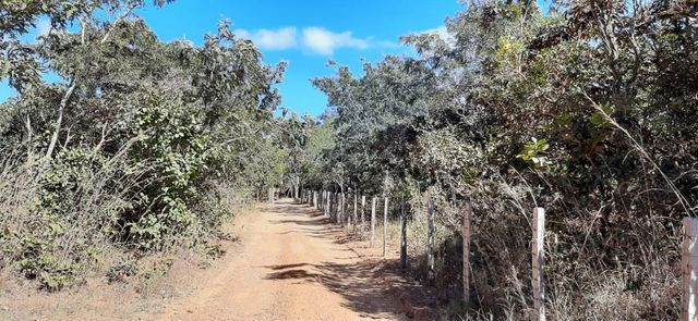 Chácara Café Sem Troco !!! 1.200.000 !!! - Foto 18