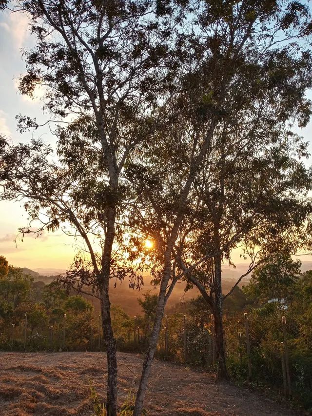 Terreno à venda - Foto 1