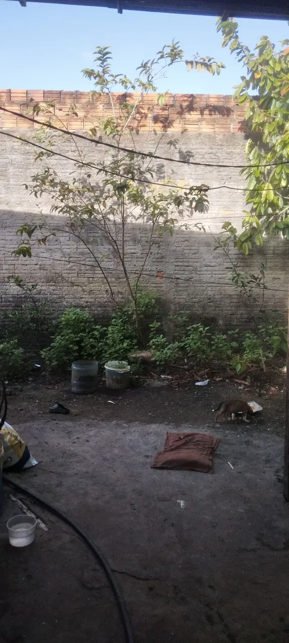 Vendo casa