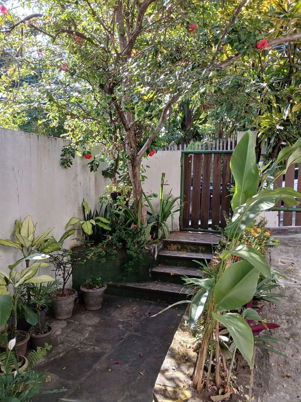 Foto - Salvador - Federação