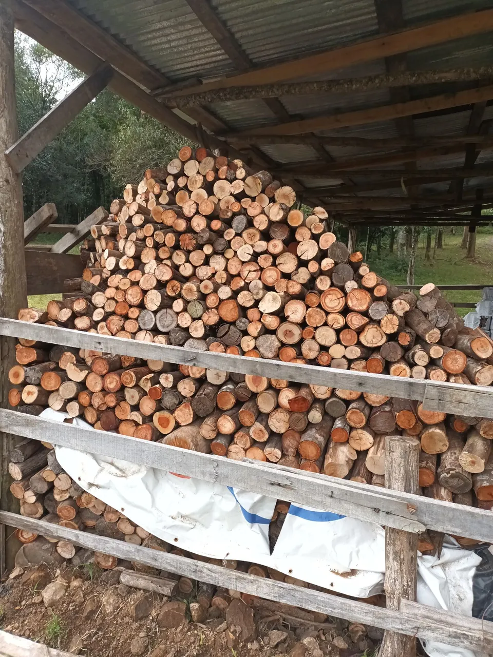 Lenha para lareira ou fogão a lenha - Venda