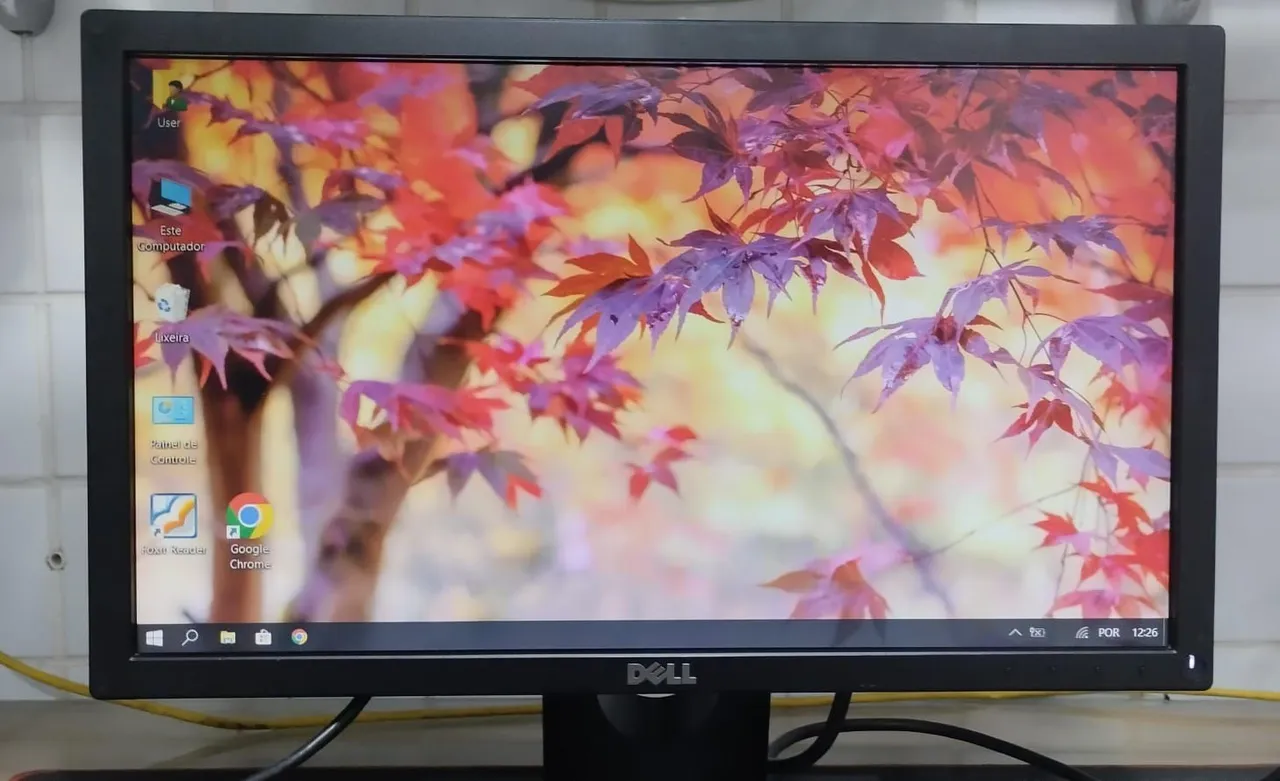 Monitor Dell