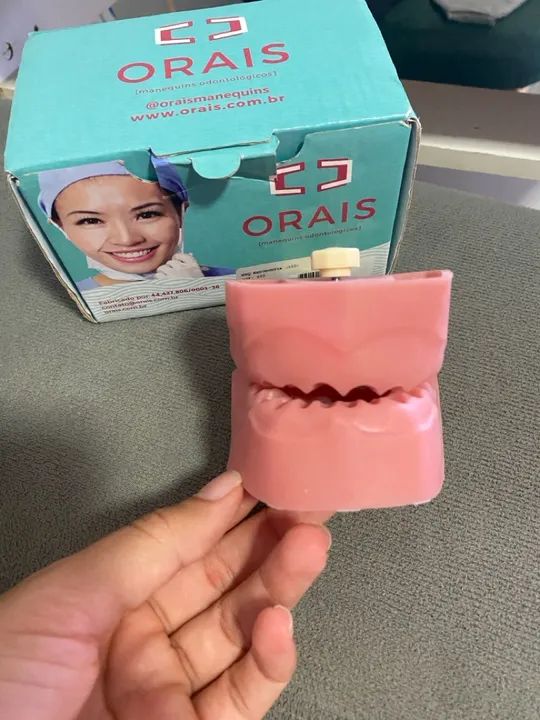 Manequim de endo orais