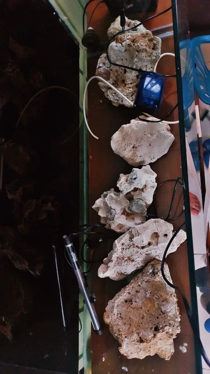 Aquário de água doce completo com acessórios - Foto 4