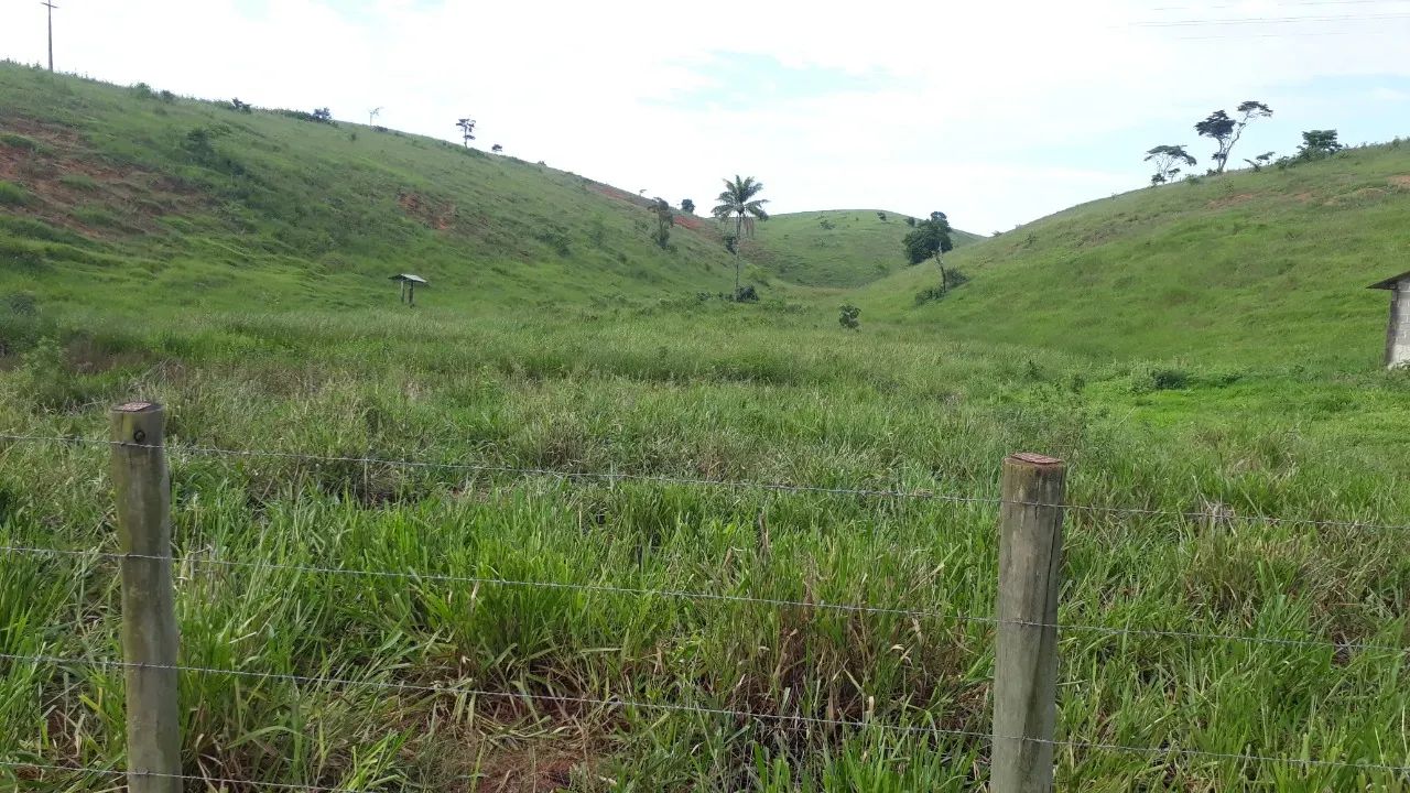 Venda-se está fazenda de 80 Alqueires no Município de Kennedy/ES. - Foto 4