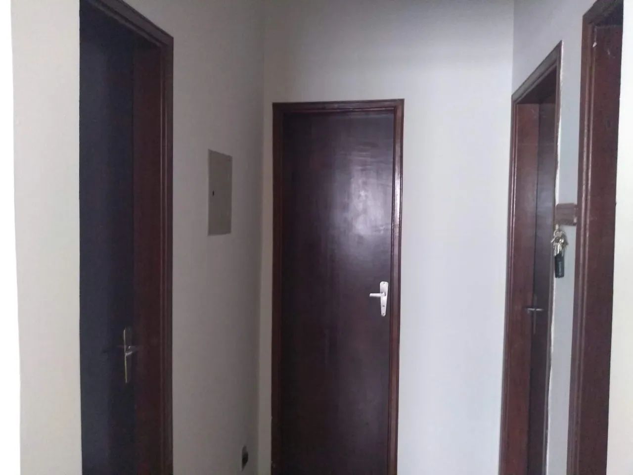 Pintor profissional  - Foto 2