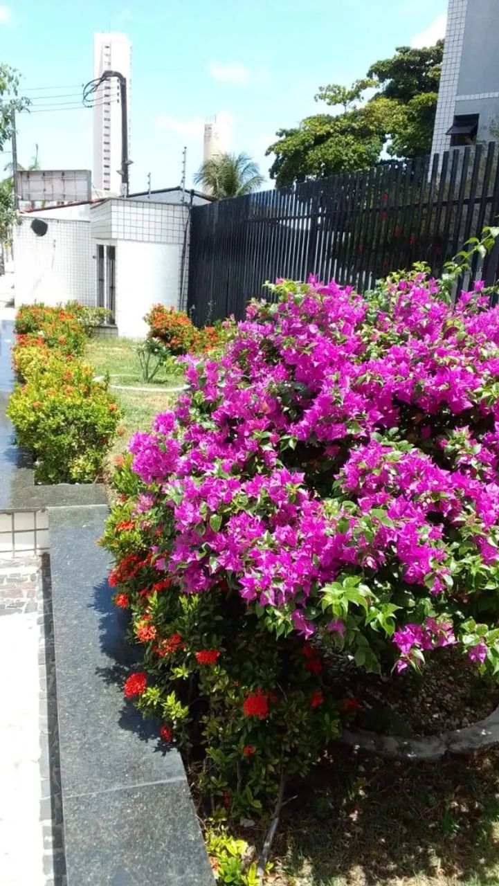 Foto - Fortaleza - Aldeota