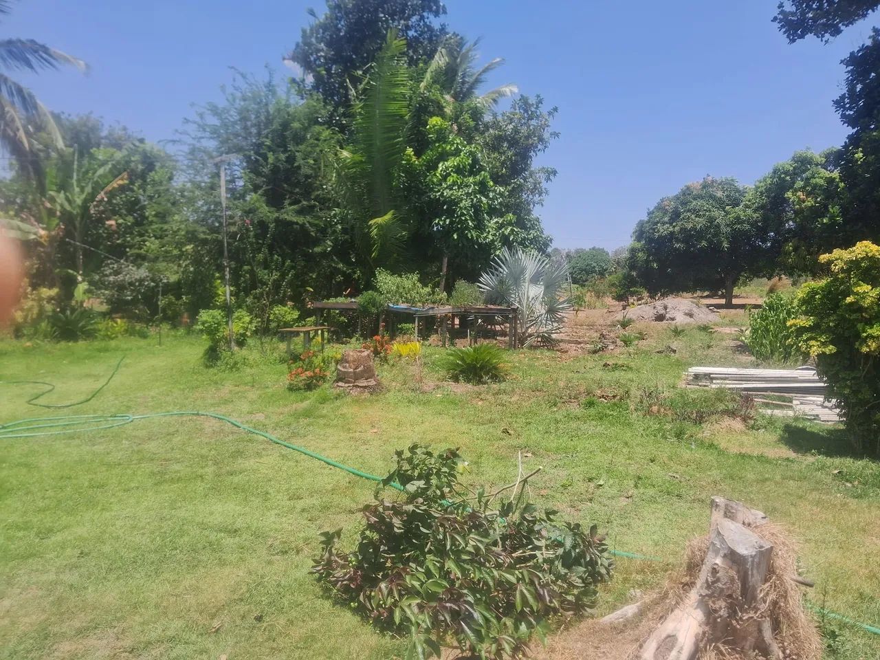 Oportunidade Sitio Próximo do Val Paraiso 8500m2 - Foto 4