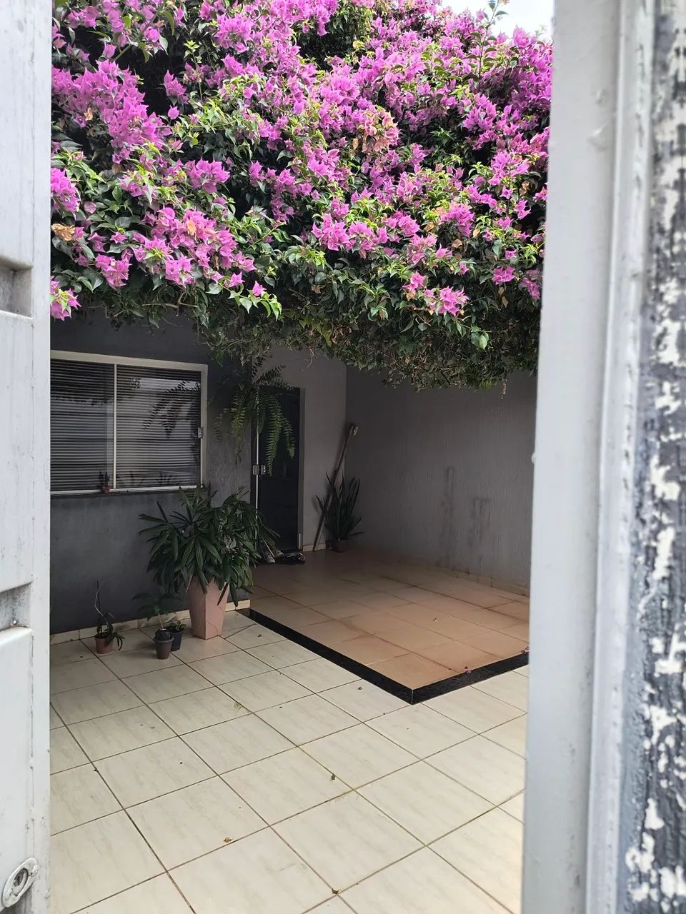 Foto - Marabá - Belo Horizonte
