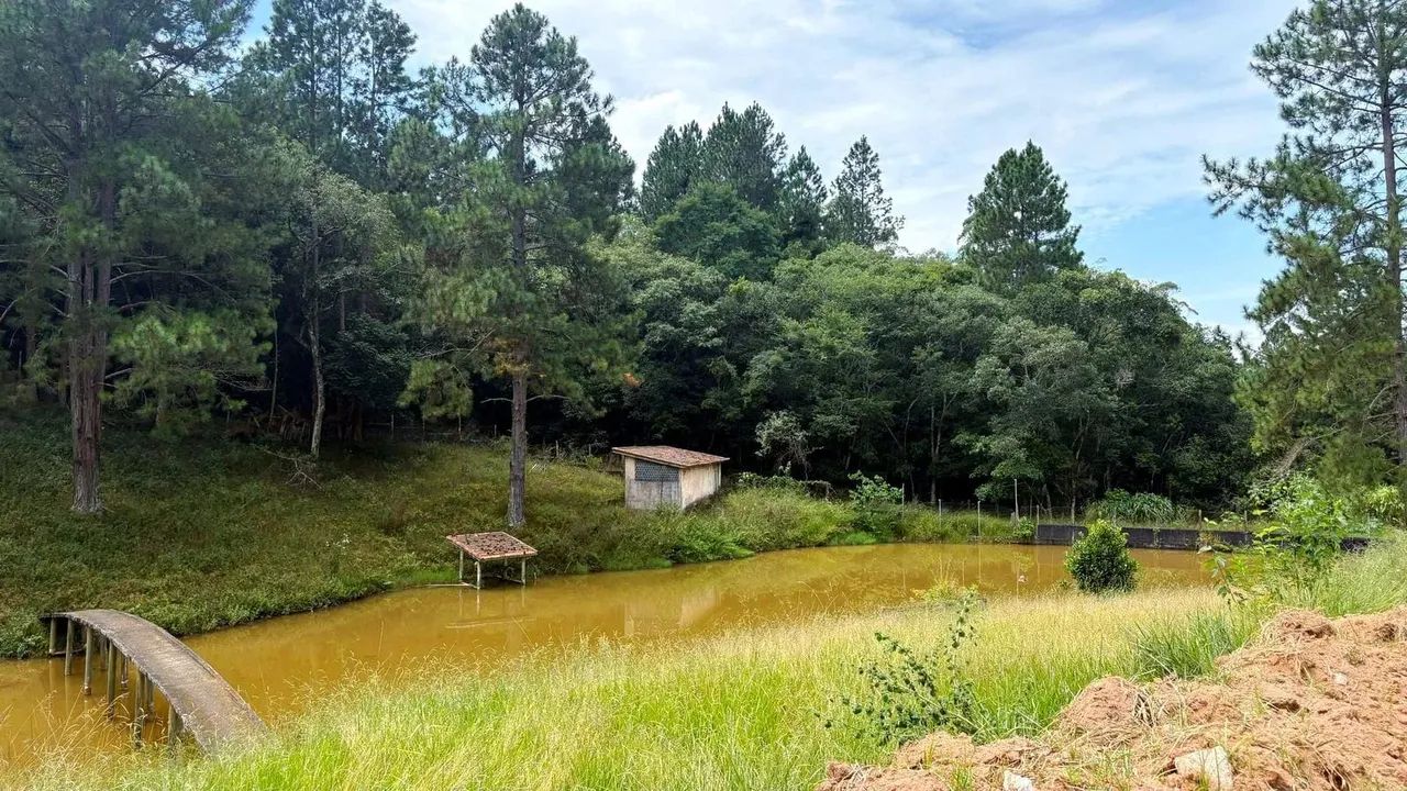 O verde que você merece
