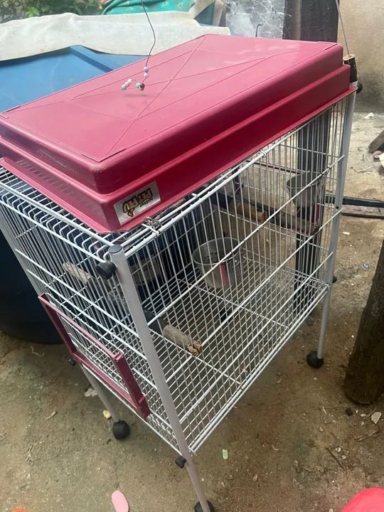 Vendo gaiola