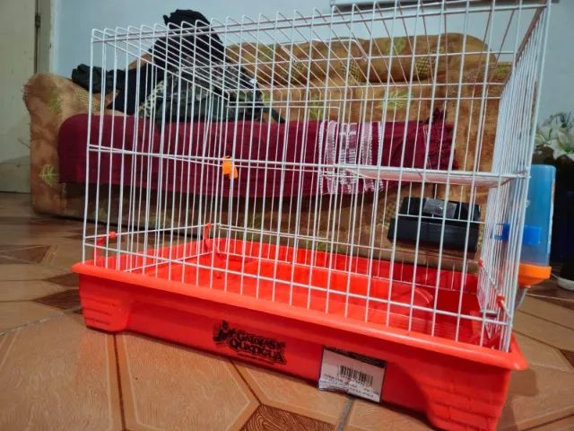 Gaiola Quatiguá - Roedores