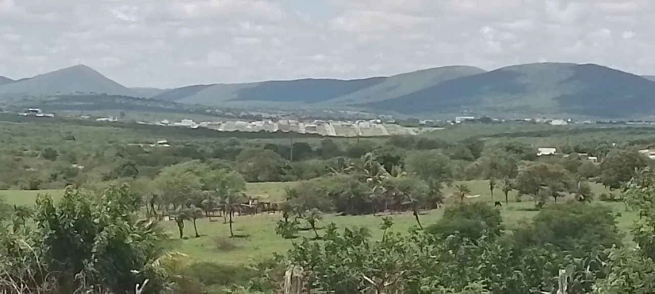 Vendo potro pampa de preto