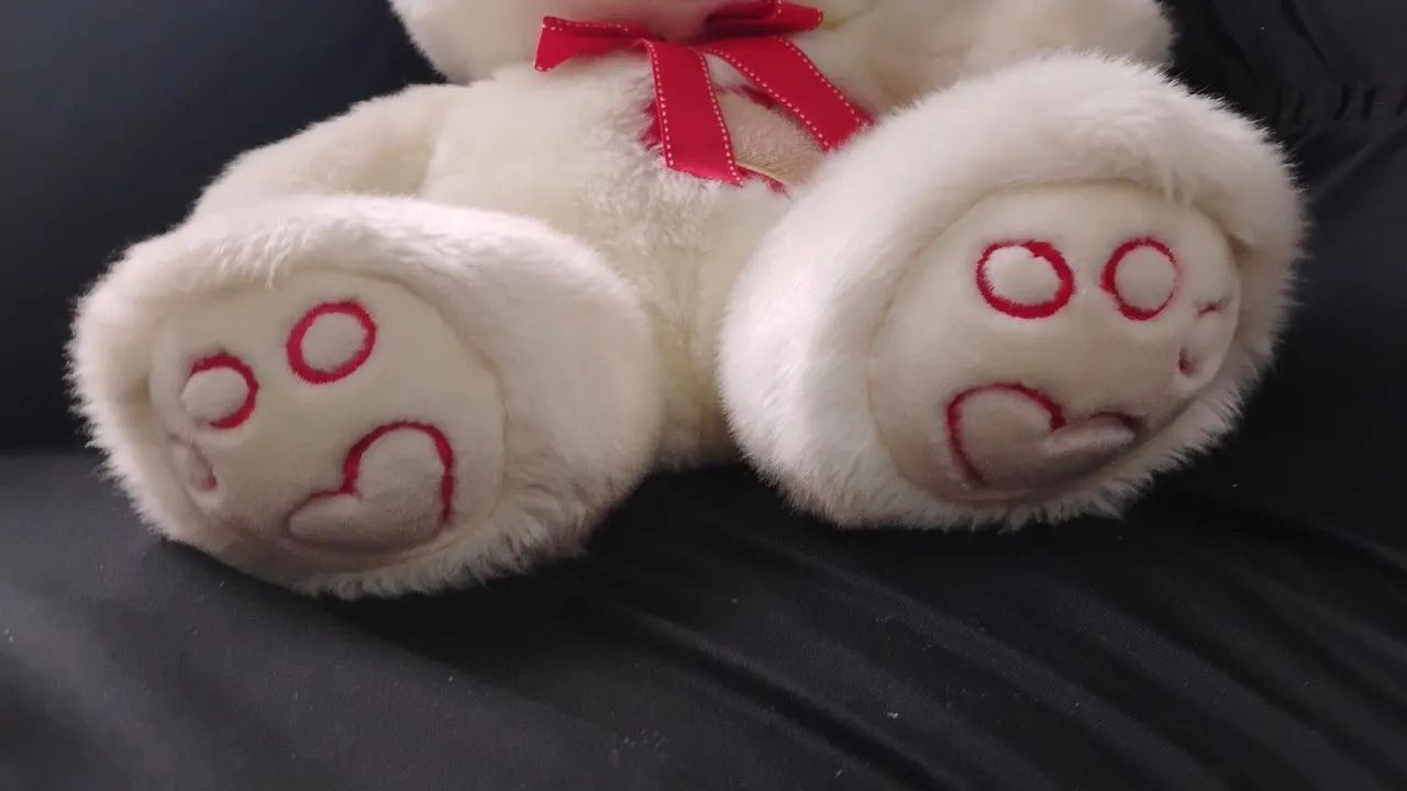 URSO DE PELUCIA - Foto 4