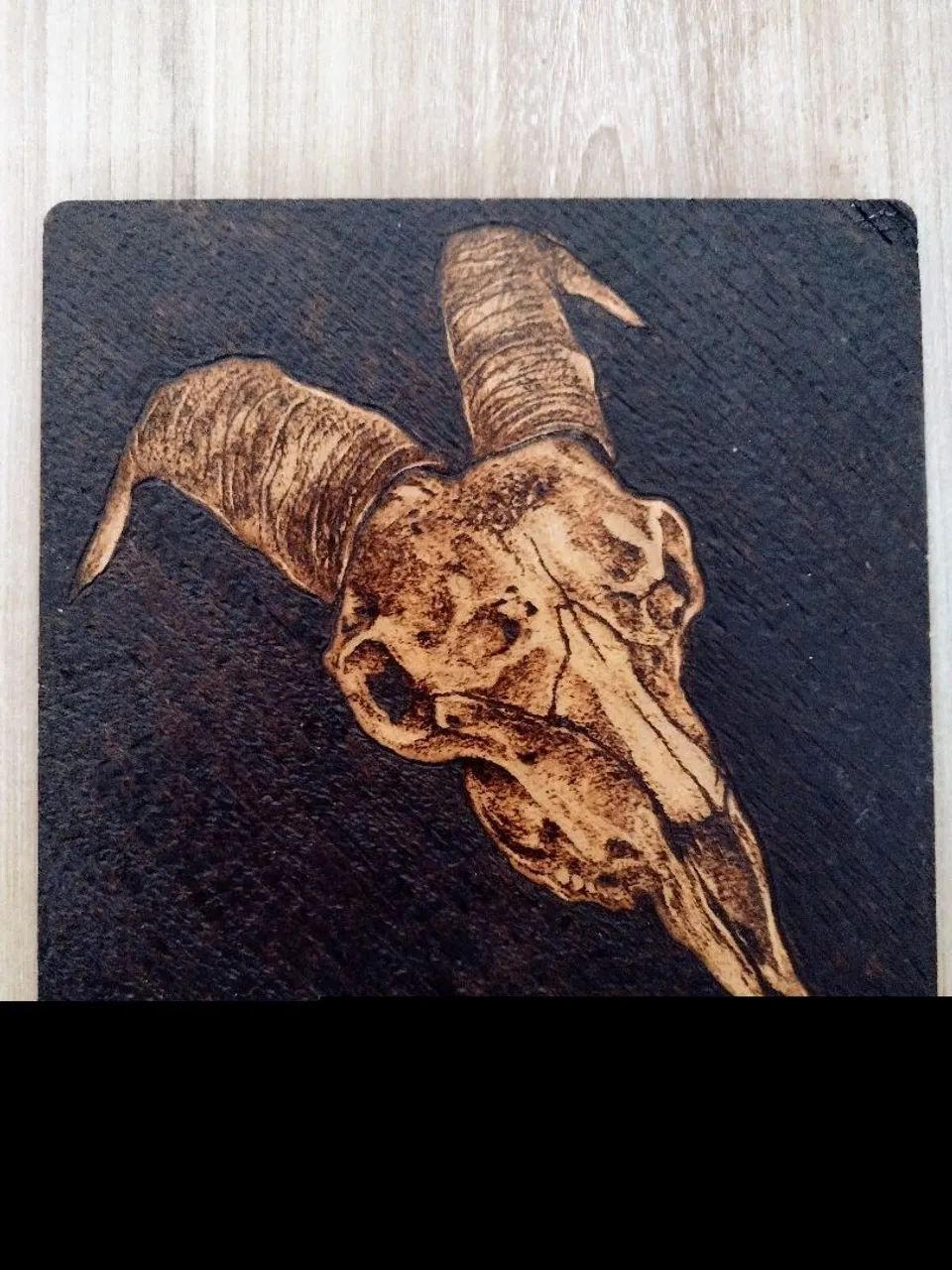 QUADRO PIROGRAFADO-CRANIO BODE