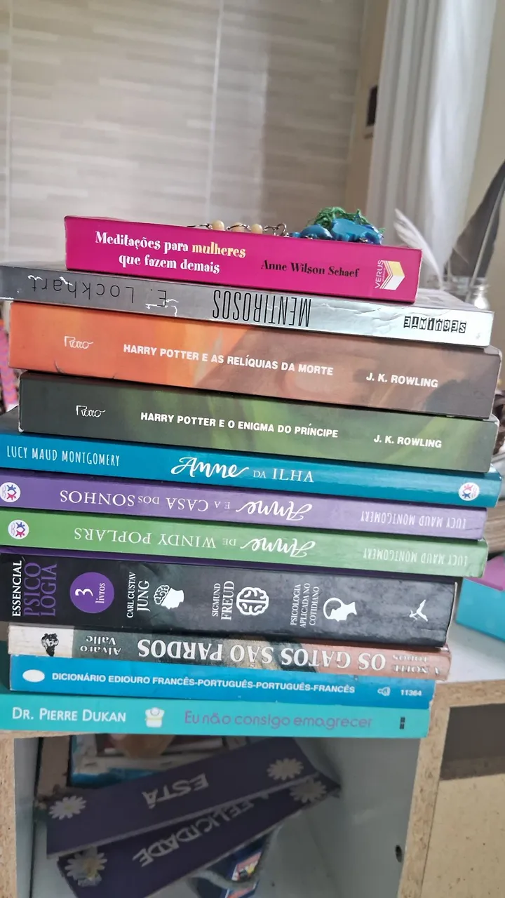 Livros Diversos - Harry Potter, Anne, Psicologia e Mais!