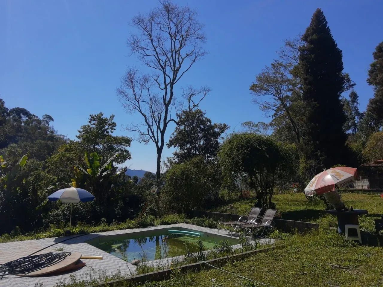 Sítio com 3 dormitórios à venda, 20000 m² por R$ 635.000,00 - Cascatinha - Nova Friburgo/R - Foto 3