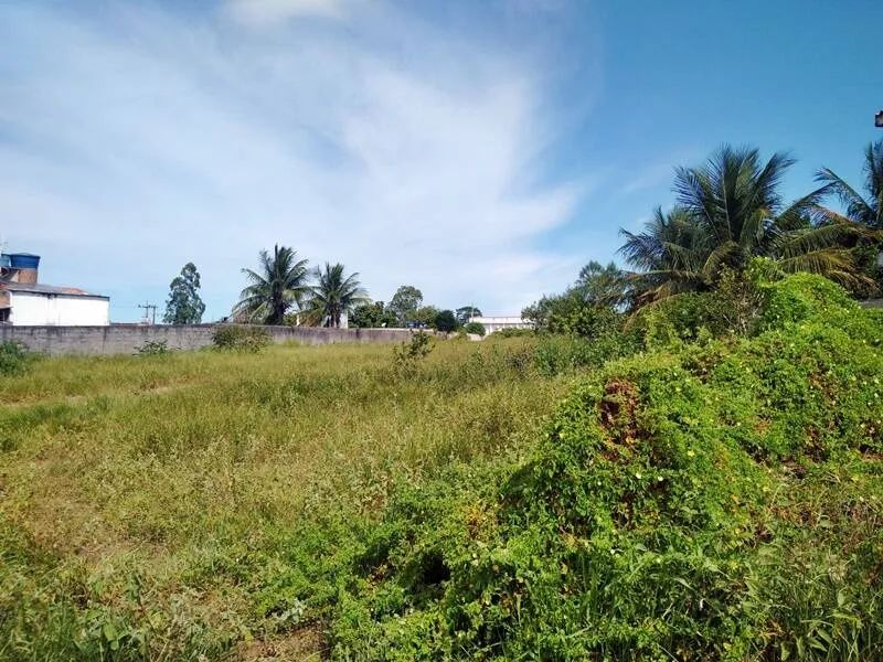 Área em Piúma - Nova Esperança - 3.100 m² - Foto 3