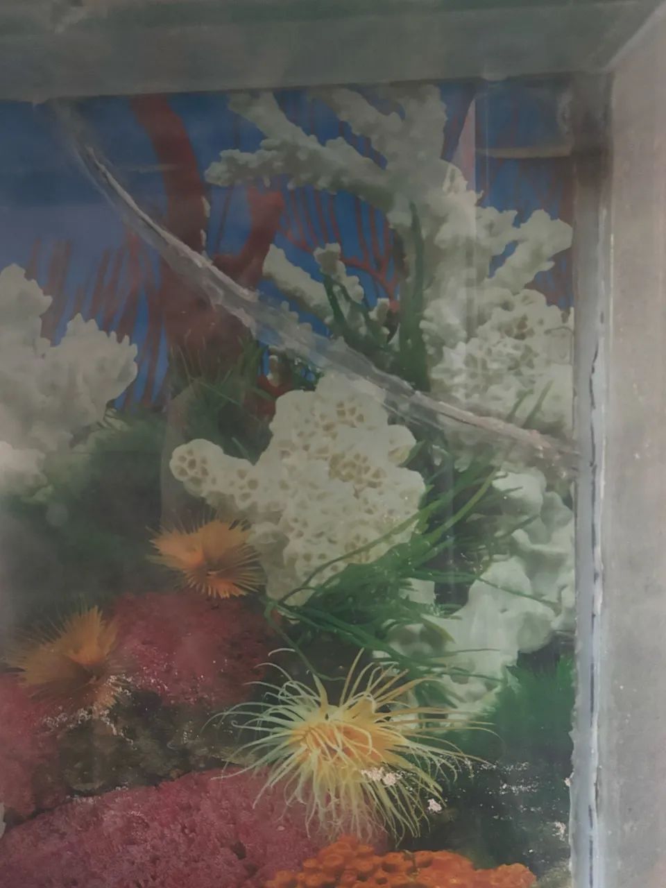 Aquário  - Foto 2