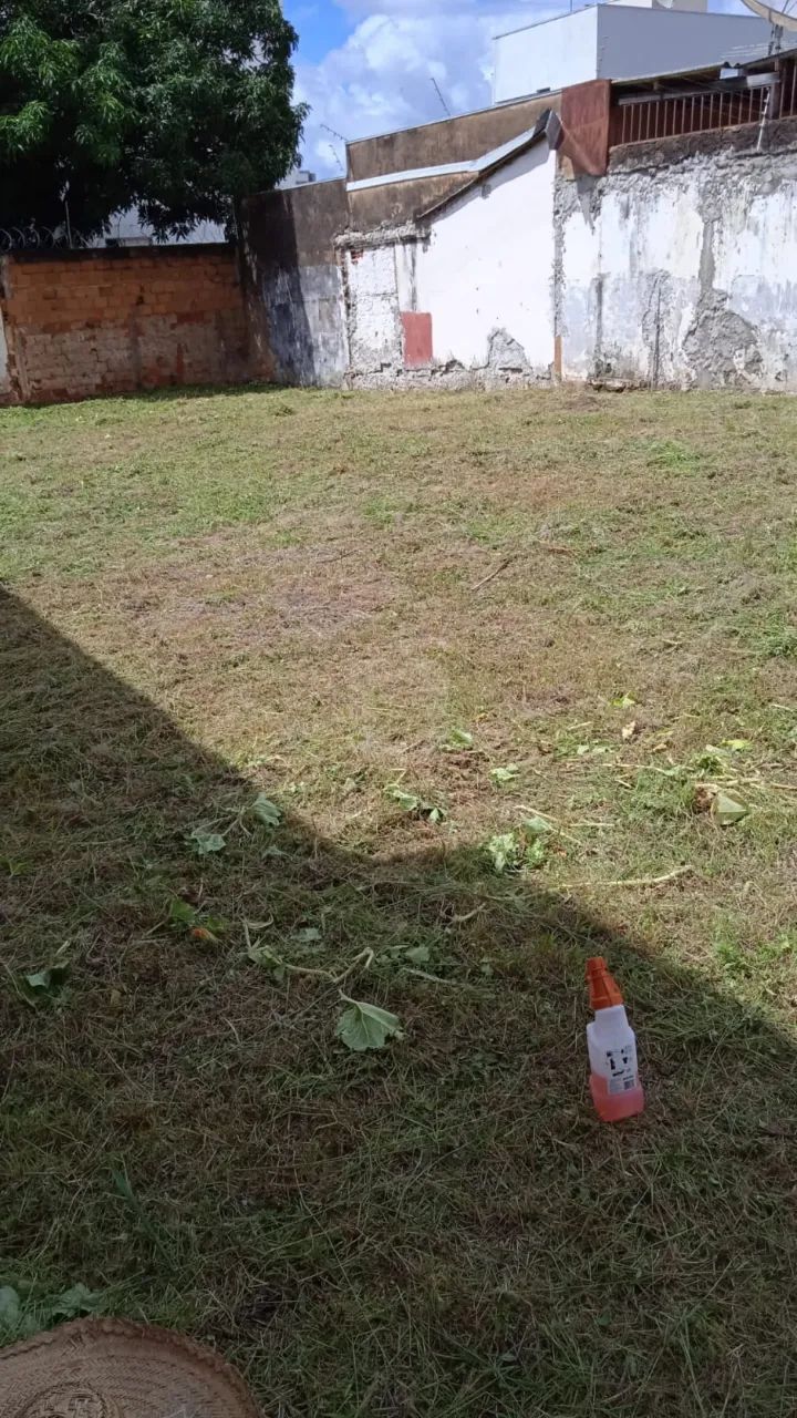 Terreno para venda no Bairro Cazeca - Foto 4