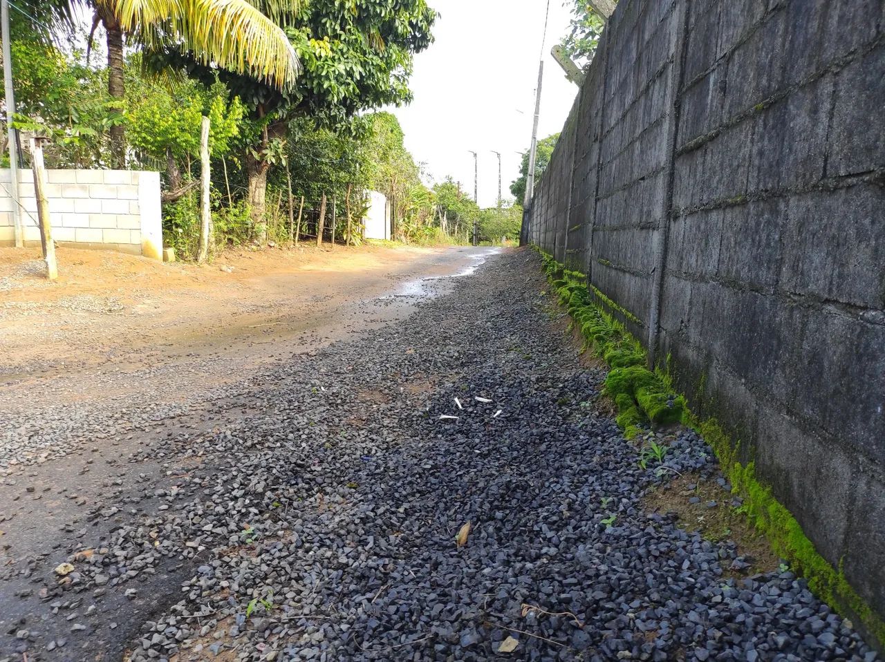 Faço limpeza  - Foto 3