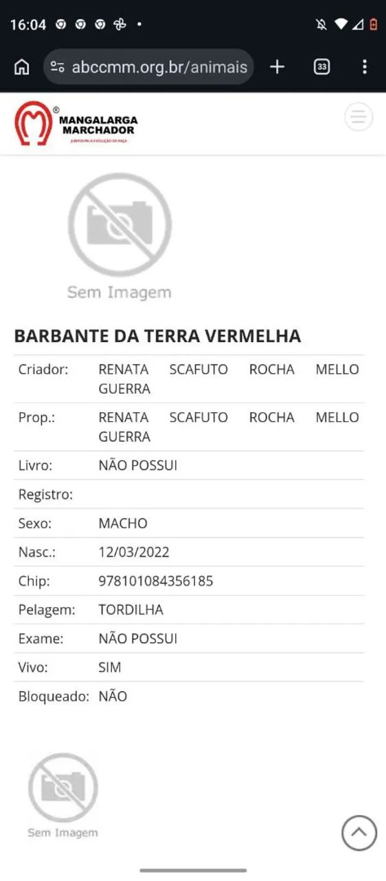 Vendo cavalo M.M - Foto 2