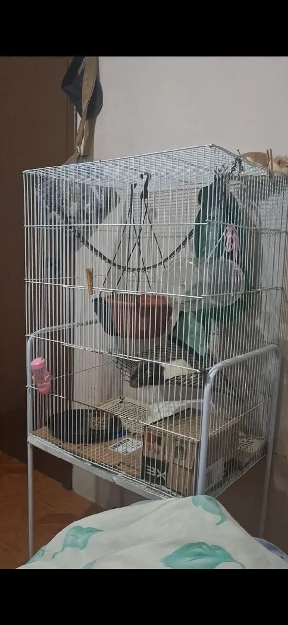 Gaiola grande para pássaro, rato Twister, roedores + ração roedor equilibrato  - Foto 2