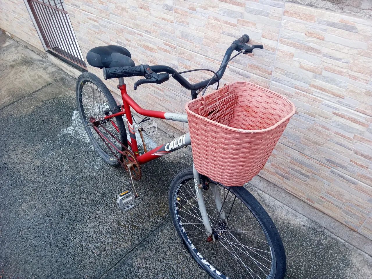 Bicicleta. Parcelo