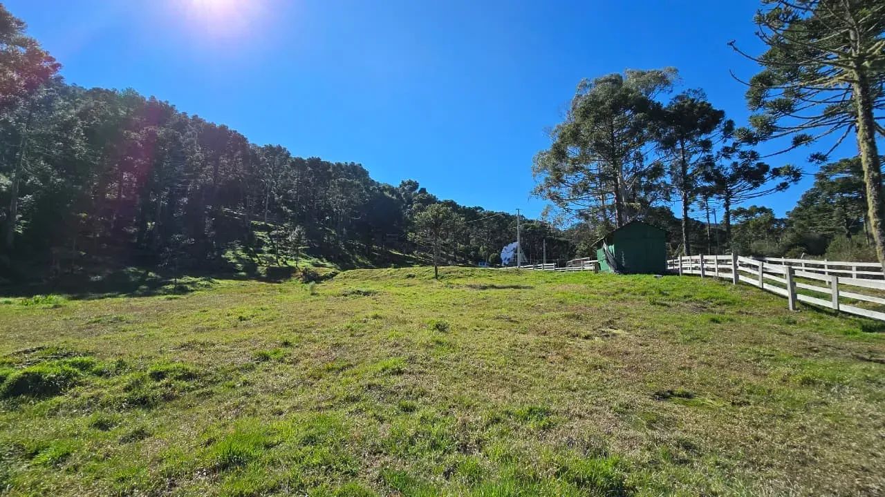 Oportunidade! 3 hectares na serra catarinense ! - Foto 4