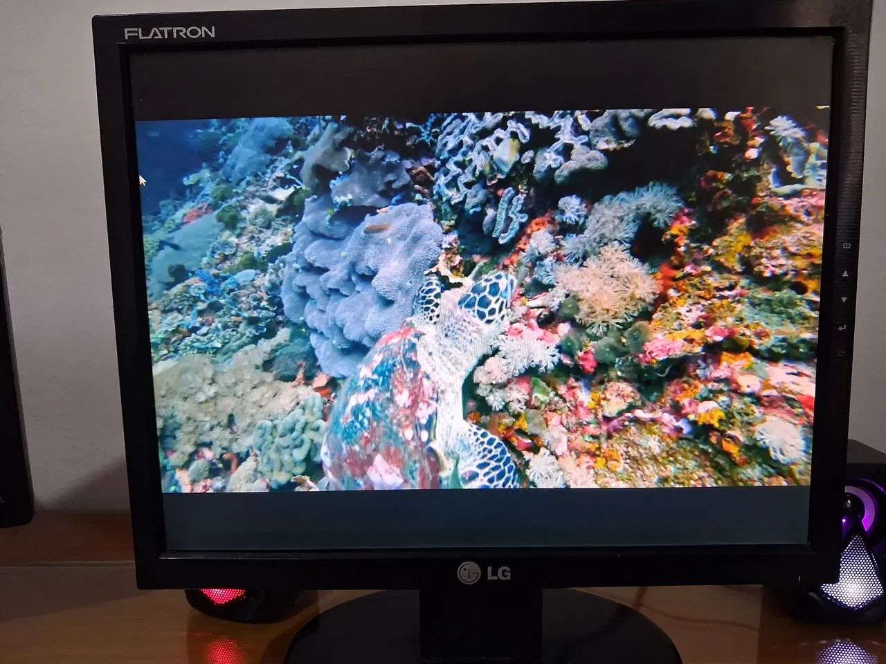Monitor LG 15"P