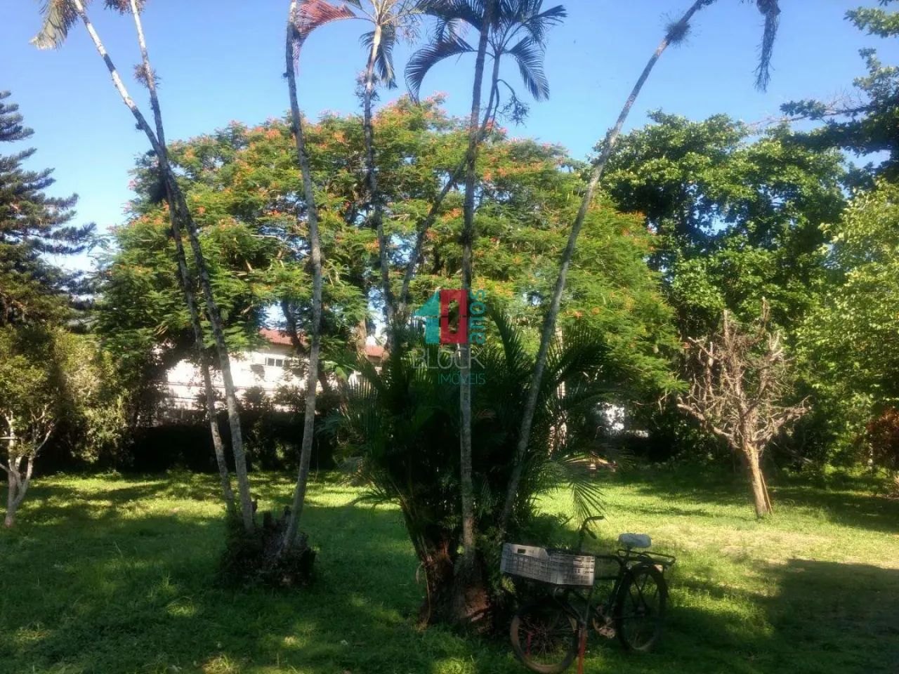 Vargem Pequena | Terreno - Foto 3