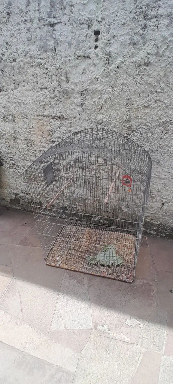 Gaiola para calopsitas