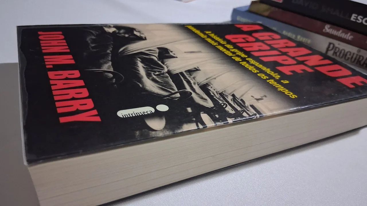 Livro A Grande Gripe _ A história da gripe espanhola - Foto 5