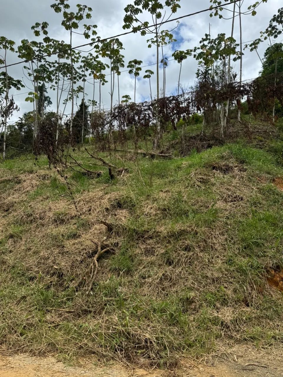 Terreno Alto -excelente custo e benefício. - Foto 3