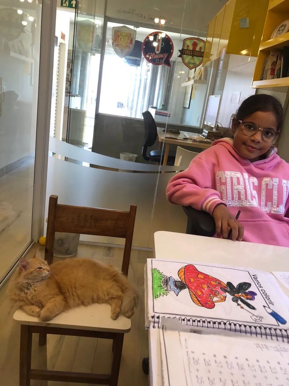 Aulas particulares de reforço escolar - Foto 2